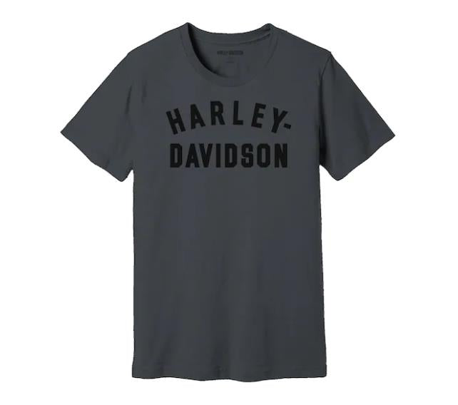 Harley-Davidson® Men's Staple Tee Blackened Pearl - 99069-22VM